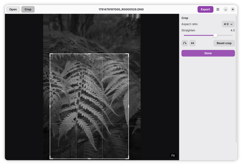 rawBake crop tool with a 4:3 crop box over a monochrome fern photo, Straighten set to 4.5.